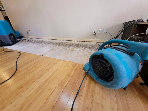 Professional Structural Drying technician working in Barnardsville, NC